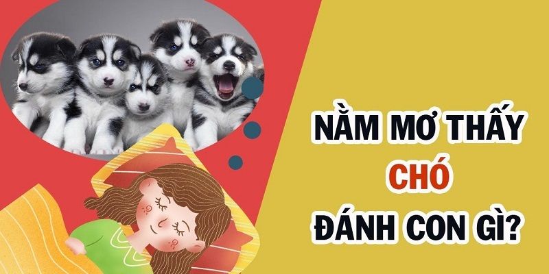 Giải mã chi tiết nằm mơ thấy chó đánh số mấy may mắn