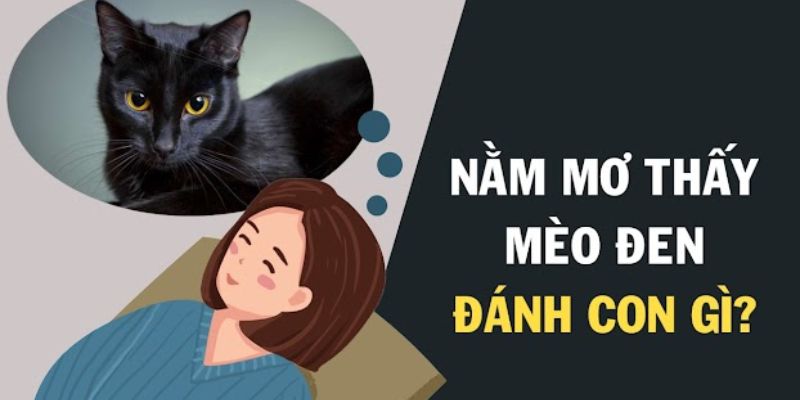 Nằm mơ thấy mèo màu đen