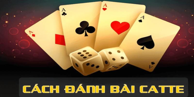 Hướng dẫn bet thủ cách chơi bài catte chi tiết